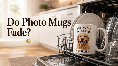 Do Photo Mugs Fade in the Dishwasher? What to Know